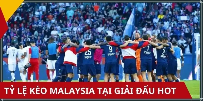 Top các giải đấu được cập nhật tỷ lệ kèo Malaysia sớm nhất 