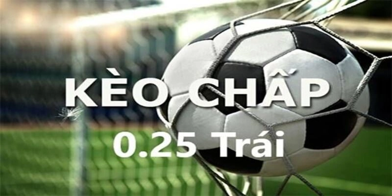 Kèo Chấp 1,25 Là Gì? Mẹo Chơi Chuẩn Cho Người Mới Bắt Đầu