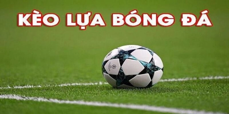 Kèo Lựa Ăn Bao Nhiêu? Phân Tích Chi Tiết Tỷ Lệ Ăn Kèo